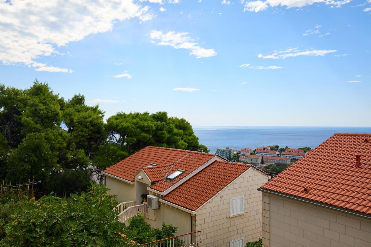 Hedera Estate Hedera Studio 1 Dubrovnik Exteriör bild
